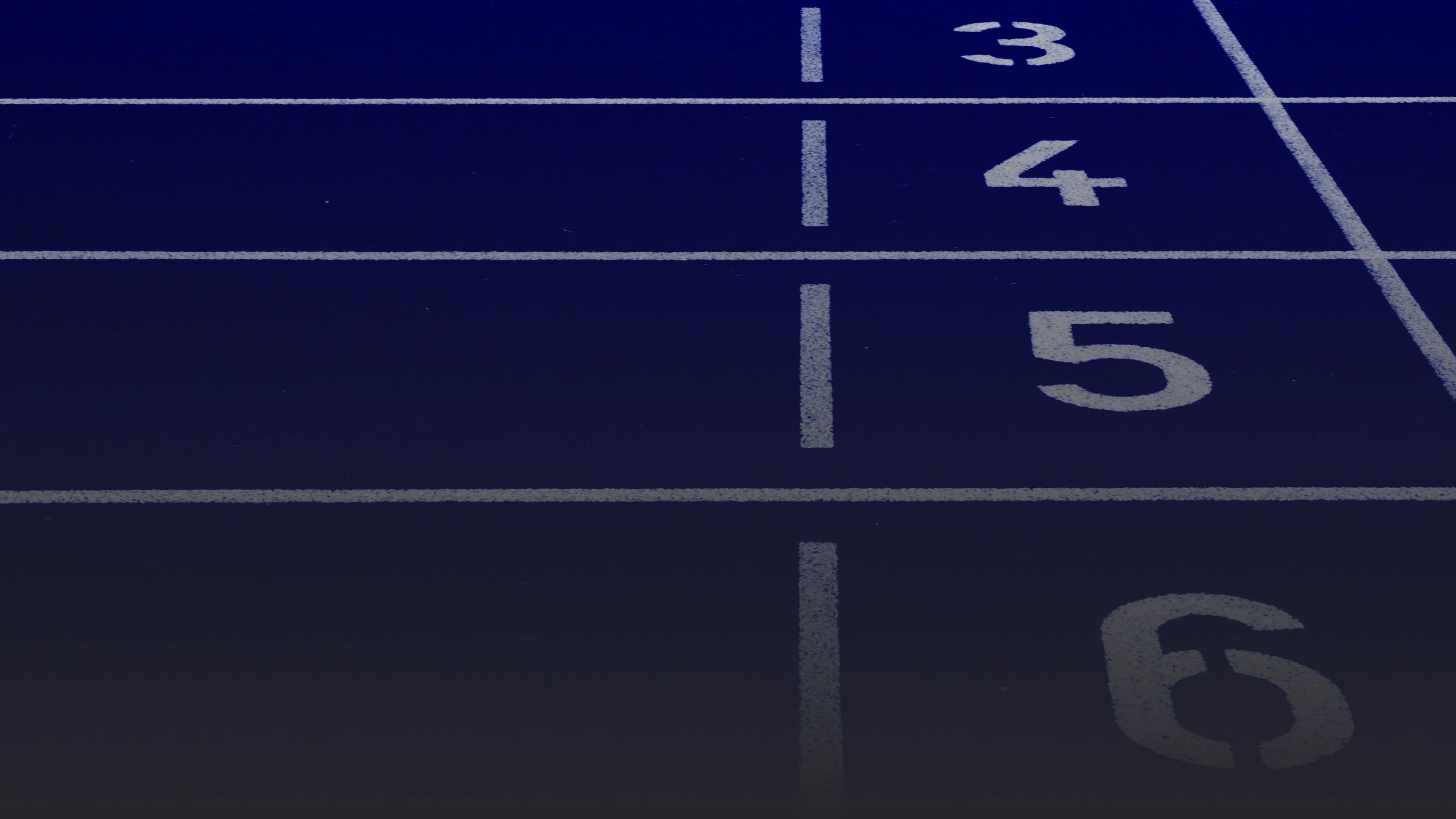 20년째,오직 체육대학만 분석하고 있습니다.